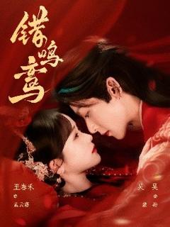 免费在线观看《错鸣鸾》