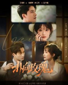 免费在线观看《扑向玫瑰》