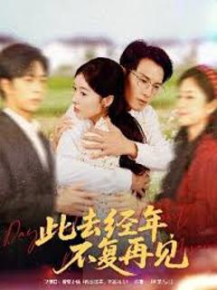 免费在线观看《此去经年不复再见》