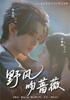 免费在线观看《野风吻蔷薇》