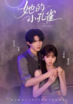 免费在线观看《她的小孔雀》