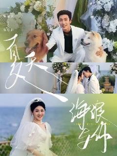免费在线观看《夏天，海浪与你》