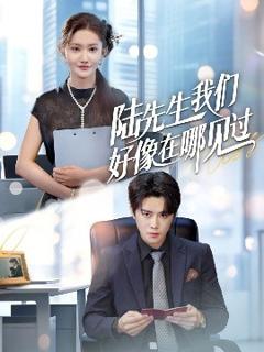 免费在线观看《陆先生我们好像在哪见过》