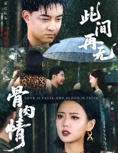 免费在线观看《此间再无骨肉情》
