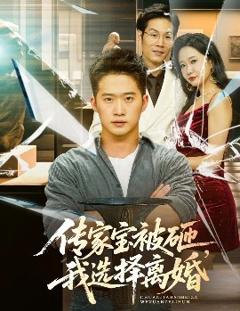 免费在线观看《传家宝被砸，我选择离婚》