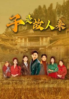 免费在线观看《子是故人来》
