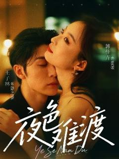 免费在线观看《夜色难渡》