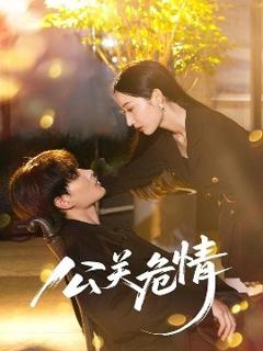 免费在线观看《公关危情》