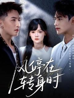 免费在线观看《风停在转身时》