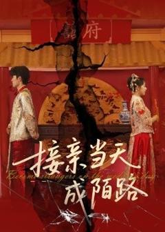 免费在线观看《接亲当天成陌路》