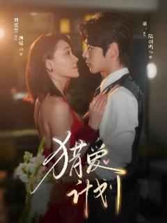 免费在线观看《猎a计划》