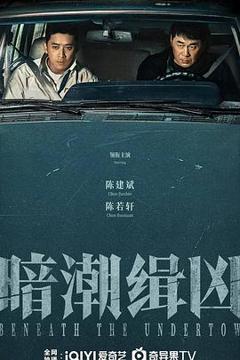 免费在线观看《暗潮缉凶》