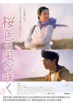 免费在线观看《风临樱花开》