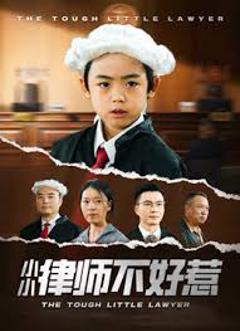免费在线观看《律师不好惹》