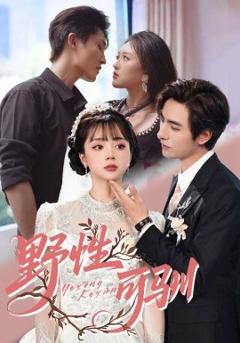 免费在线观看《野性可驯》