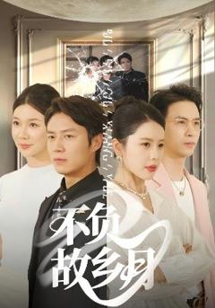 免费在线观看《不负故乡月》