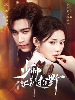 免费在线观看《少帅你别过分野》