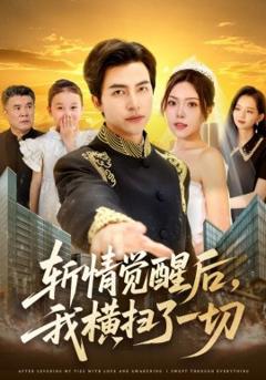 免费在线观看《斩情觉醒后，我横扫了一切》