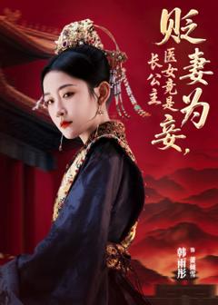 免费在线观看《贬妻为妾医女竟是长公主》