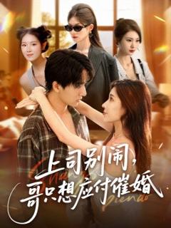 免费在线观看《上司别闹，哥只想应付催婚》