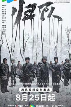 免费在线观看《归队》