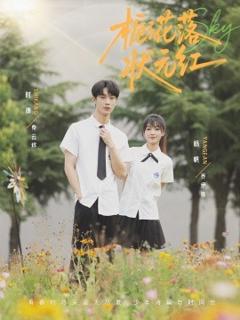 免费在线观看《栀子花落状元红》