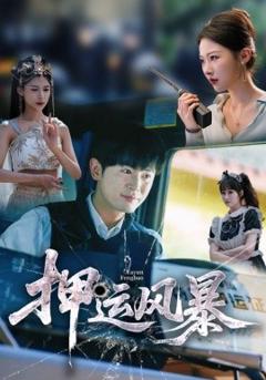 免费在线观看《押运风暴》
