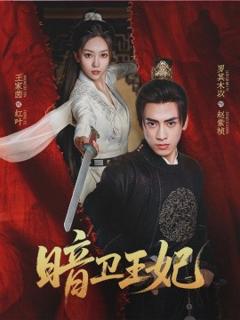 免费在线观看《暗卫王妃》