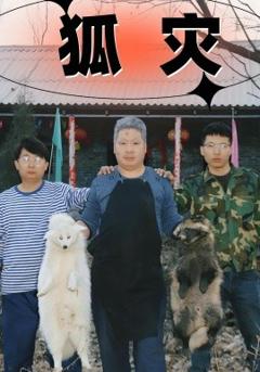 免费在线观看《狐灾》