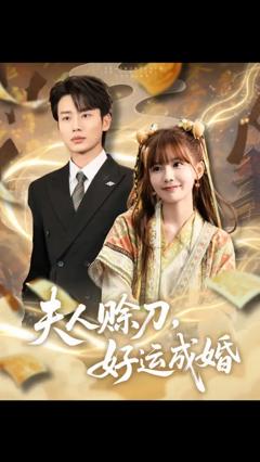 免费在线观看《夫人赊刀好运成婚》