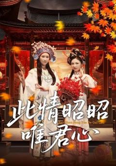 免费在线观看《此情昭昭唯君心》