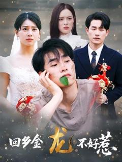 免费在线观看《回乡金龙不好惹》