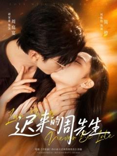 免费在线观看《迟来的周先生》