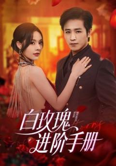 免费在线观看《白玫瑰进阶手册》