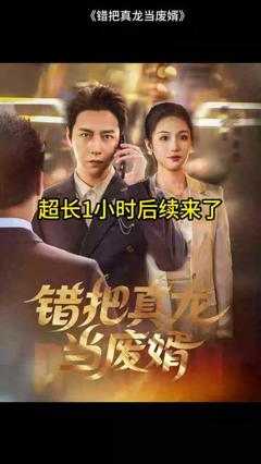 免费在线观看《错把真龙当赘婿》