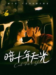 免费在线观看《暗十年天光》