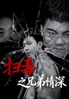 免费在线观看《扫毒之兄弟情深》