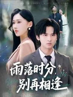 免费在线观看《雨落时分别再相逢》