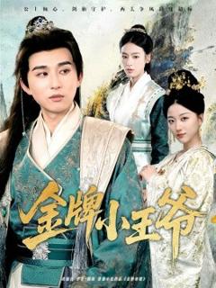 免费在线观看《金牌小王爷》