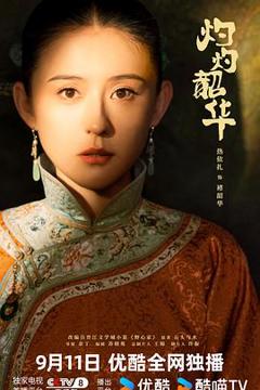 免费在线观看《灼灼韶华》