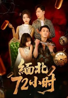 免费在线观看《缅北72小时》