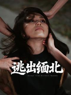 免费在线观看《逃出缅北》