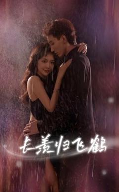 免费在线观看《长羡归飞鹤》