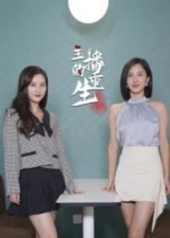 免费在线观看《主播的重生》