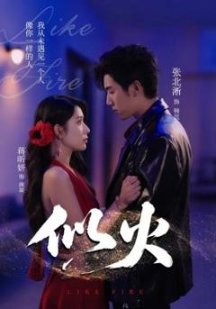 免费在线观看《似火短剧版》