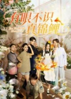 免费在线观看《有眼不识真锦鲤》