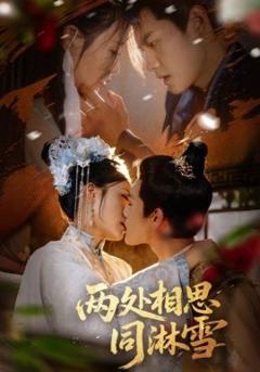 免费在线观看《两处相思同淋雪》