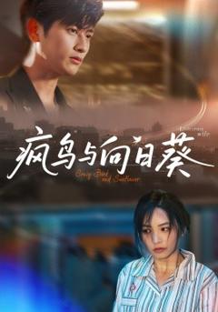 免费在线观看《疯鸟与向日葵》