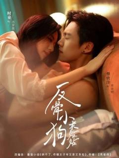 免费在线观看《反骨小狗求贴贴》