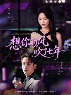 免费在线观看《想你的风吹了七年》